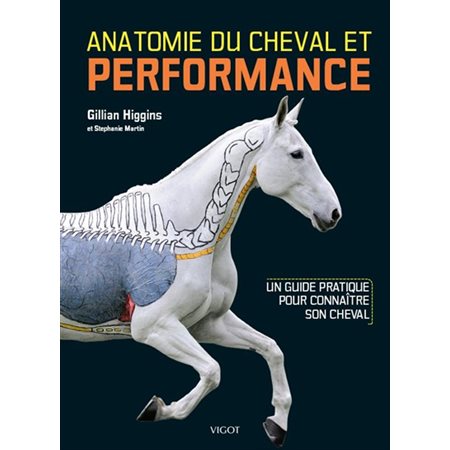 Anatomie du cheval et performance : Un guide pratique pour connaître son cheval
