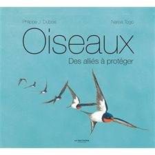 Oiseaux : Des alliés à protéger