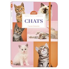Mon petit agenda chats 2021 : 1 semaine  /  2 pages : Du 1er janvier au 31 décembre