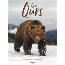 Les ours : Puissants et vulnérables