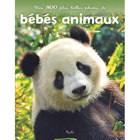 Mes 800 plus belles photos de bébés animaux