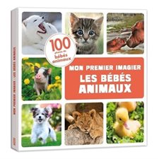 Les bébés animaux : Mon premier imagier : 100 photos de bébés animaux