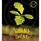 Le gland et le chêne : Cycle de vie