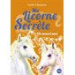 Ma licorne secrète T.06 : Un nouvel ami