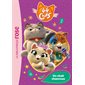 44 chats T.02 : Un chat chanceux : Bibliothèque rose : 6-8