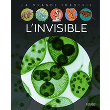 L'invisible : La grande imagerie