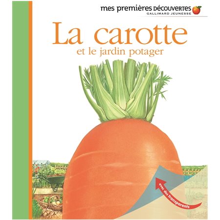 La carotte et le jardin potager
