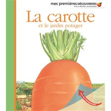 La carotte et le jardin potager