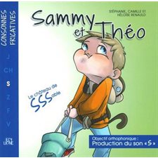 Sammy et Théo : Le château de sssable : AVC