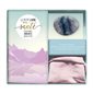 Le petit livre de la santé : Coffret comprenant 1 livre + fluorite : Équilibre, immunité, bien-être