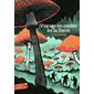 Voyage au centre de la Terre (FP) : Folio junior. Textes classiques. Abrégés