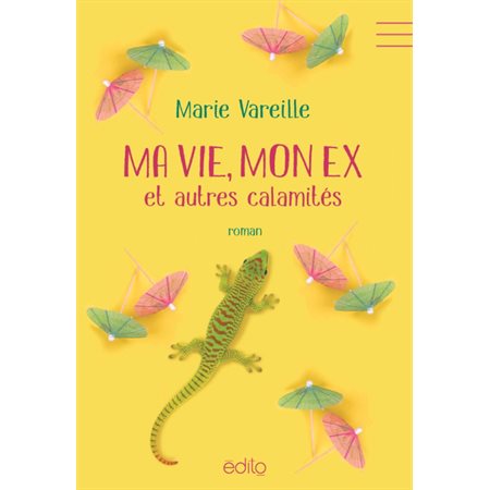 Ma vie, mon ex et autres calamités