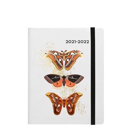 Agenda scolaire 2021-2022 : Melville papillons : 1 semaine  /  2 pages