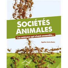 Sociétés animales : Ces animaux qui vivent ensemble ...