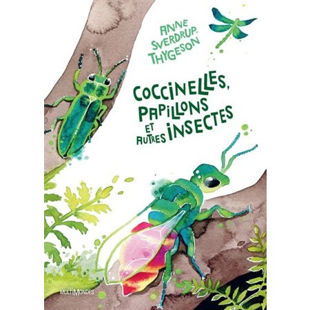 Coccinelles, papillons et autres insectes