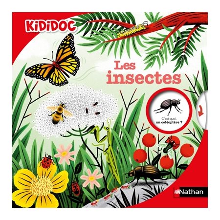 Les insectes : Kididoc