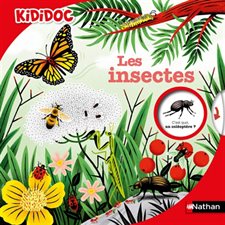 Les insectes : Kididoc