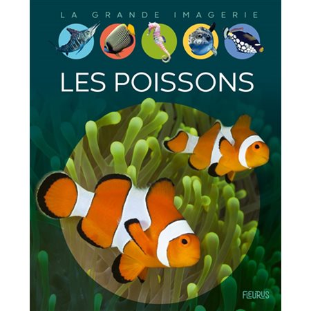 Les poissons : La grande imagerie : 1ère édition