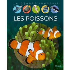 Les poissons : La grande imagerie : 1ère édition