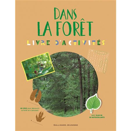 Dans la forêt