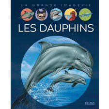 Les dauphins : La grande imagerie : 2e édition