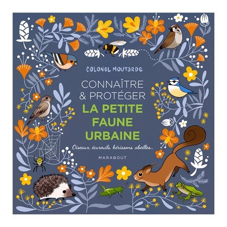 Connaître & protéger la petite faune urbaine : Oiseaux, écureuils, hérissons, abeilles ...