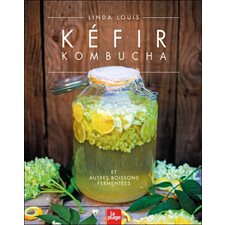 Kéfir, kombucha et autres boissons fermentées