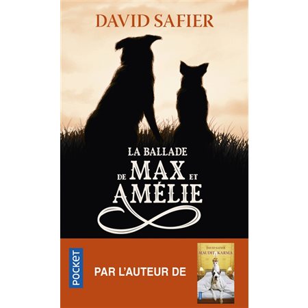 La ballade de Max et Amélie (FP)