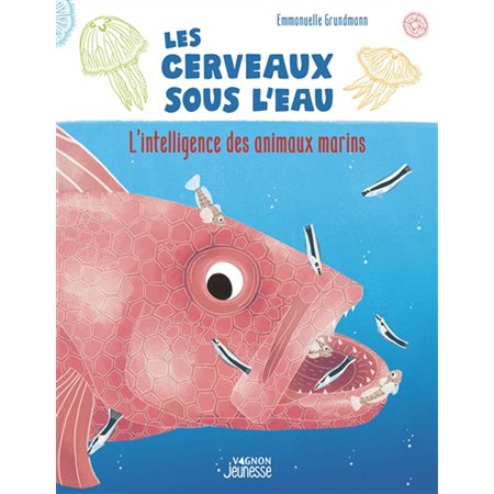 Les cerveaux sous l'eau : L'intelligence des animaux marins