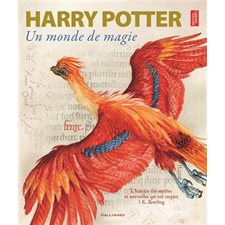 Harry Potter : Un monde de magie