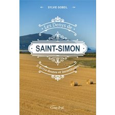 Les Denys de Saint-Simon T.02 :Entre doutes et incertitudes