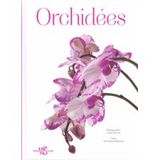 Orchidées