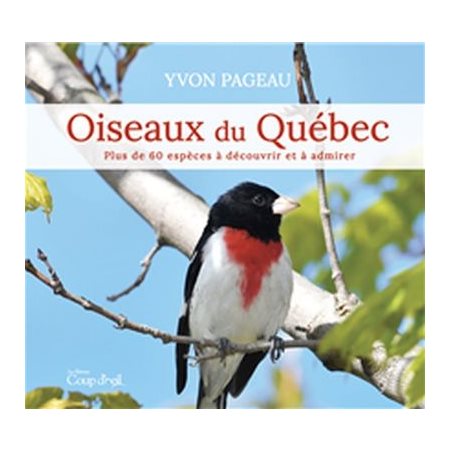 Oiseaux du Québec : Plus de 60 espèces à découvrir et à admirer