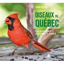 Oiseaux du Québec : Plus de 60 espèces à découvrir et à admirer