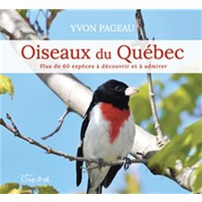 Oiseaux du Québec : Plus de 60 espèces à découvrir et à admirer