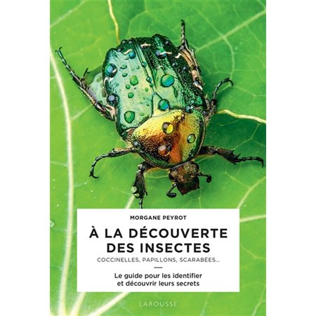 A la découverte des insectes : Coccinelles, papillons, scarabées ...