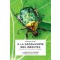 A la découverte des insectes : Coccinelles, papillons, scarabées ...