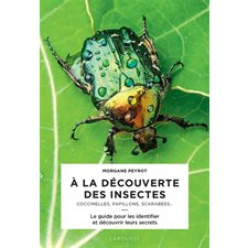A la découverte des insectes : Coccinelles, papillons, scarabées ...
