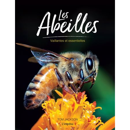 Les abeilles : Vaillantes et essentielles