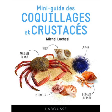 Mini-guide des coquillages et crustacés