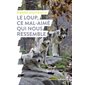 Le loup, ce mal-aimé qui nous ressemble