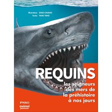 Requins : Les seigneurs des mers de la préhistoire à nos jours