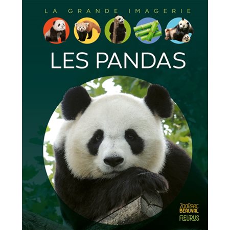 Les pandas : La grande imagerie : 2e édition