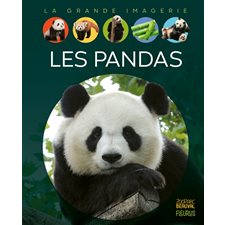 Les pandas : La grande imagerie : 2e édition