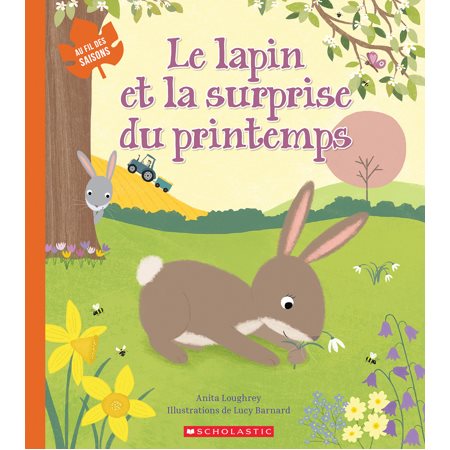 Le lapin et la surprise du printemps : Au fil des saisons : Couverture souple