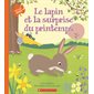 Le lapin et la surprise du printemps : Au fil des saisons : Couverture souple