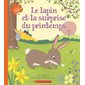 Le lapin et la surprise du printemps : Au fil des saisons : Couverture souple