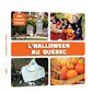 L'halloween au québec : Mon premier imagier