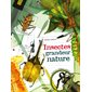 Insectes : Grandeur nature