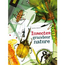 Insectes : Grandeur nature
